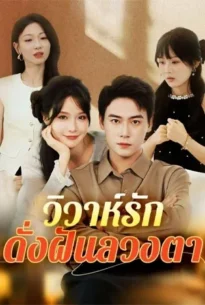 วิวาห์รักดั่งฝันลวงตา poster